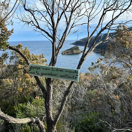 Il Guardingo Lejlighed