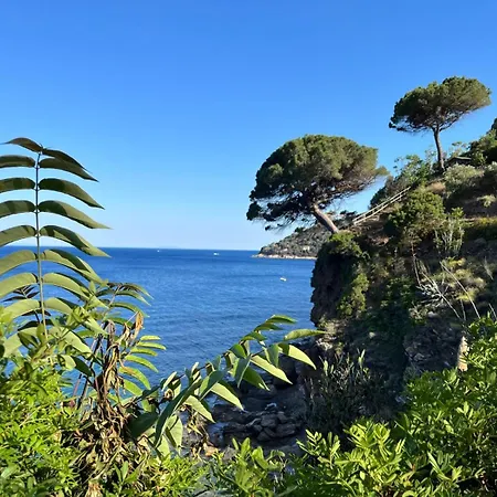 Il Guardingo Rio dellʼElba